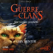 French Audiobook Released in France