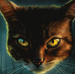 Brambleclaw.TBC-6