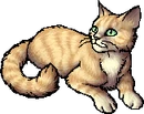 StarClan Version