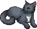 Duskwater.star.png (15 KB) StarClan Version