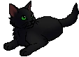 Perchkit.star.png (7 KB) StarClan Version