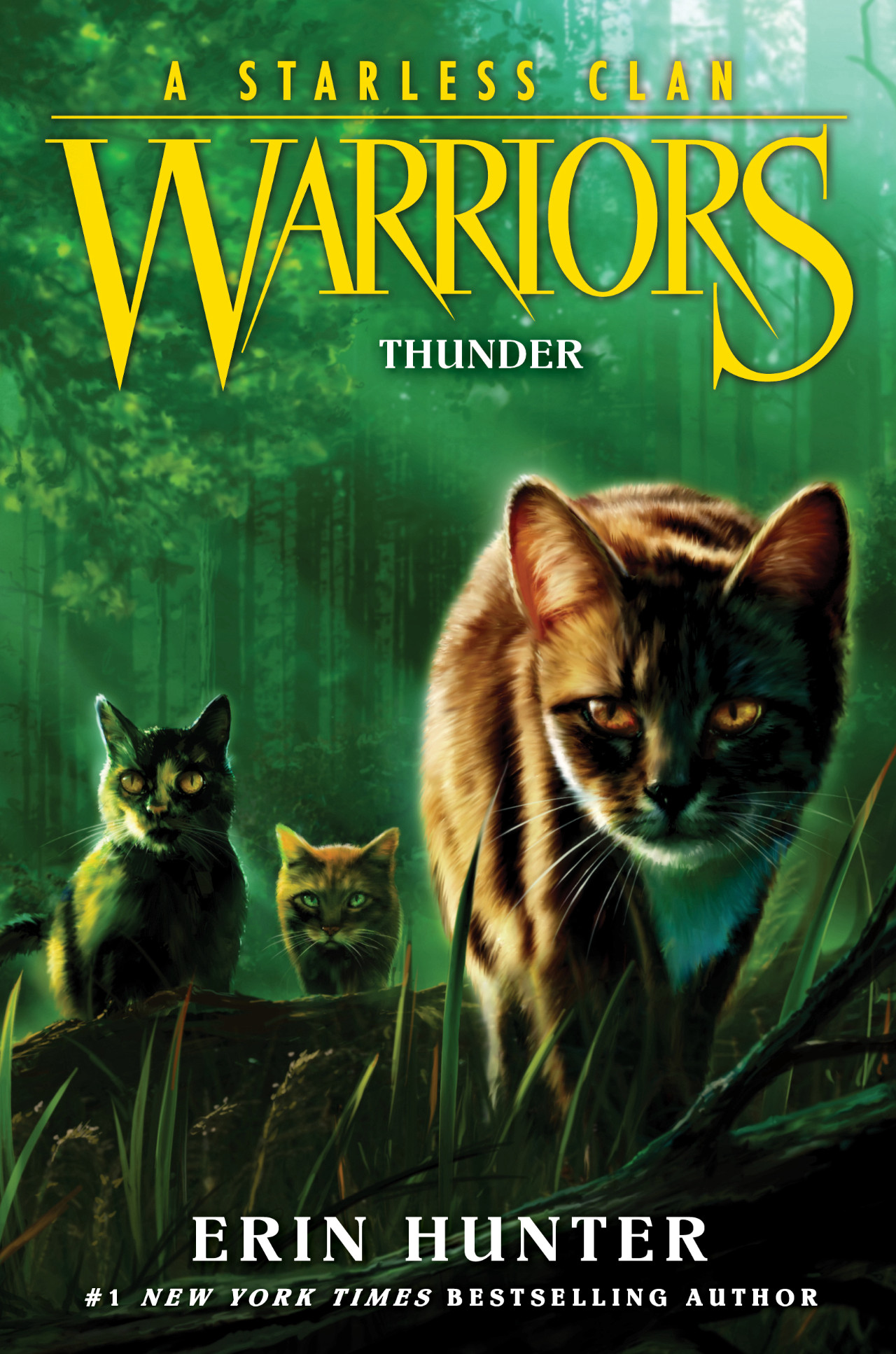Warriors: Dawn of the Clans: Warriors: Dawn of the Clans #3: The First  Battle (Paperback) 