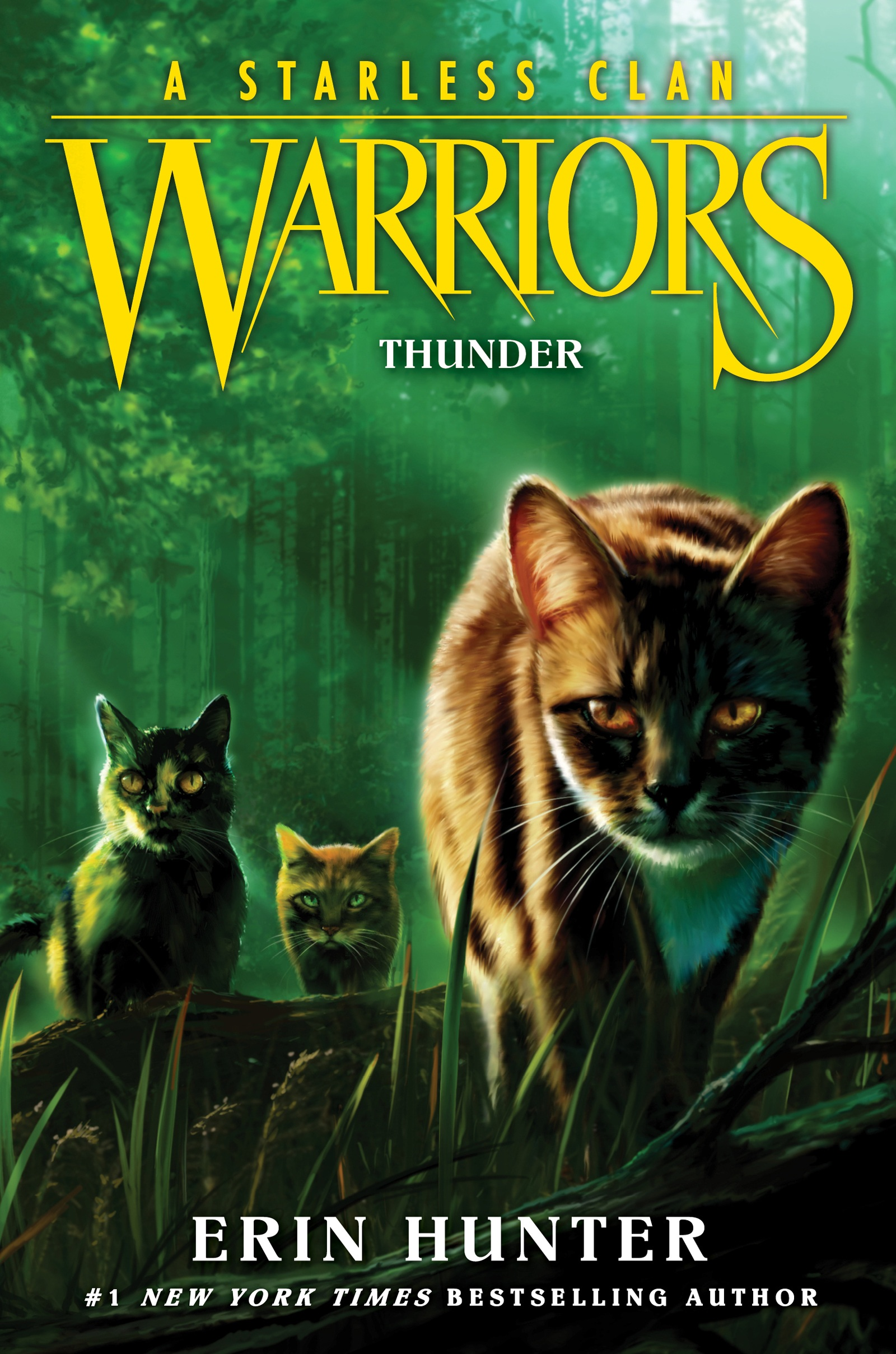 Warriors: A Thief in ThunderClan (Warriors by Hunter, Erin