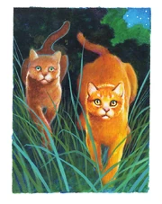 Firestar and Sandstorm are two of the most well known mates in ThunderClan, and did many quests together.