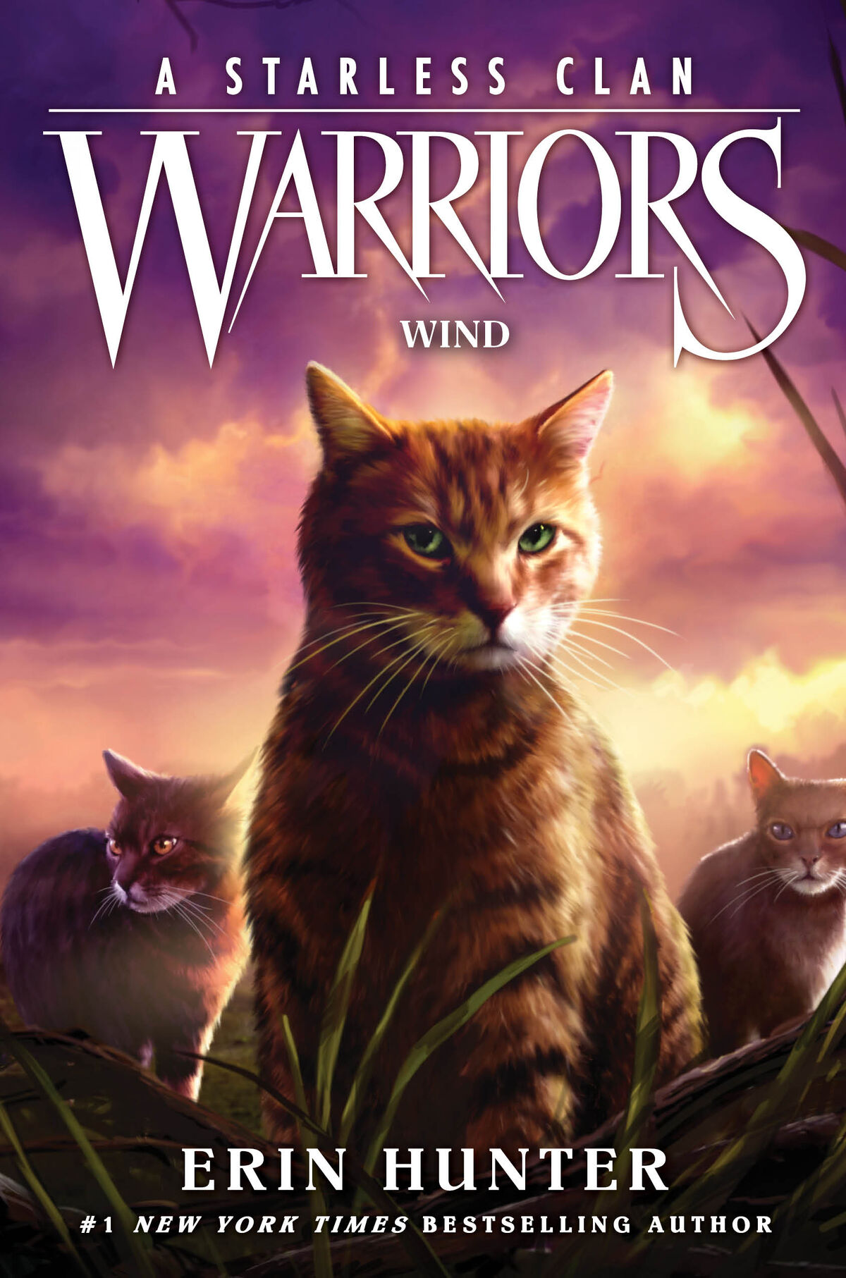 Wind (book), Warriors Wiki