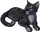 StarClan Version