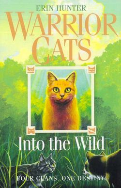 Warrior Cats: Into the wild By: Erin Hunter. SUMMARY: This book is about a  young cat named Rusty, who joins wild cats in the forest to defend  territory, - ppt download