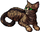 StarClan Version