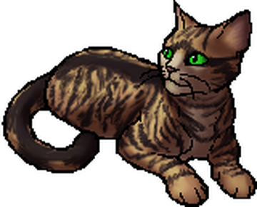 Redtail, Warrior cats Wiki