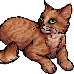 photo Yellowfang's Secret Allegiances warriors wiki fandom