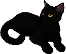 StarClan Version