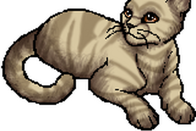 Sleekwhisker, Warriors Wiki