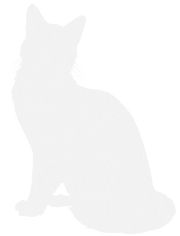 Icestar.silhouette