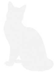 Icewing worries for RiverClan's safety throughout the journey