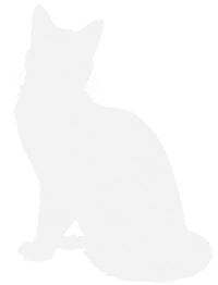 Frostdawn eventually chose Icewing to become RiverClan's new leader, who wanted a different kind of RiverClan to flourish