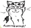 Concept artwork for Runningwind