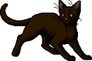 Shrewpaw (TC).apprentice.png (9 KB) Apprentice Version