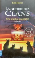 Alternate French Language Edition Released in France