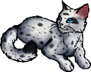 StarClan Version