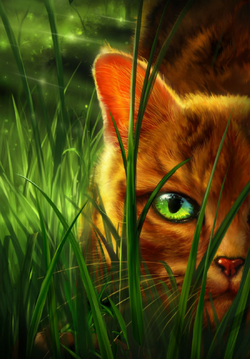 Firestar, Warrior cats Wiki