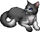 StarClan Version