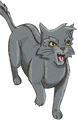 Graystripe in Graystripe's Adventure