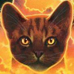 Tigerstar, Warrior Cats, the Game Wiki