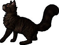 Alle WarriorCats- Clanzeichen auf einmal?  Warrior cats, Warrior cats clans,  Warrior cat