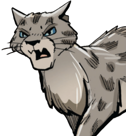 Warriors: Animated on X: Warrior Cat of the Day #43 - Ashfur! This is the  official Warriors Animated design for Ashfur of ShadowClan, as he appears  in Into The Wild ✨ #wcotd #