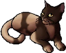 StarClan Version