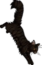 Tigerstar (AVoS).gc.png (29 KB) Guardian Cat Version