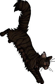 Tigerstar (AVoS), Warriors Wiki