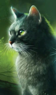 Twigpaw journeyed to find SkyClan after ThunderClan refused to help