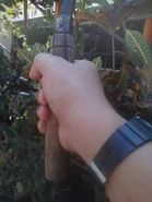 360px-Arit3.jpg (24 КБ)