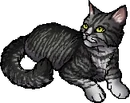 Dust Muzzle.star.png (32 KB) StarClan Version