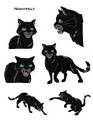 Concept artwork for Nightstar (ShC)