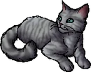 StarClan Version