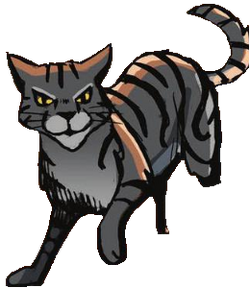 darkstripe warrior cats