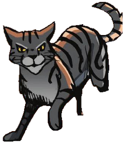 Tigerstar (TPB), Warriors Wiki, Fandom