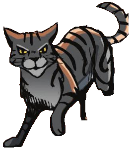 Warrior Cats Blog: The Warrior Code