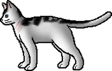 Tigerstar (TPB), Warriors Wiki, Fandom