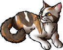 StarClan Version