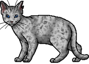 Ashfur (TC), Warriors Wiki