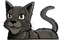 Crowfeather in Crowfeather's Trial