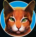 Firestar.TWOEHEG-Cover.png (1.68 MB) Firestar on the cover of The World of Erin Hunter Educator's Guide