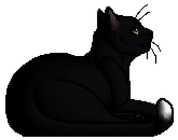 warrior cat designs — Ravenpaw Loner “Oh, Barley. You know me so