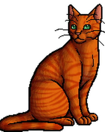 Sparkpelt Warriors Wiki Fandom Sparkpelt Warriors Wiki Fandom