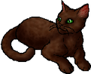 StarClan Version