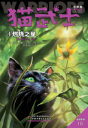 Simplified Chinese Reprint Language Edition Released in China