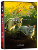 Simplified Chinese Language Edition Released in China